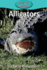 Alligators