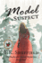 Model Suspect: Book One of the Backyard Model Mysteries