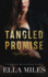 Tangled Promise 4 Sinful Truths
