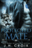 Protected Mate 1 Catamount Lion Shifters