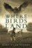 Where Birds Land