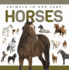 Horses (Genius Kid: Animals in Our Care)