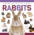Rabbits (Genius Kid: Animals in Our Care)