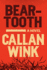 Beartooth: a Novel