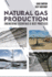 Natural Gas Production-Engineering Essentials & Best Practices