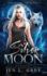 Silver Moon (Shadow City: Silver Wolf)