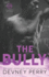 The Bully (Calamity Montana)
