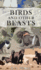 Birds and Other Beasts