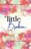 A Little Broken