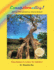 "Exceptionality": Digital Psychology for Self-Ecology