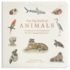 Our Big Book of Animals: First 100 Animal Words for Language Development, including Farm, Jungle, Pets, Bugs, and More