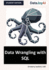 Data Wrangling with SQL: Student Edition