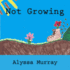 Not Growing