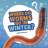 Where Do Worms Go in Winter? : Answering Kids' Questions (Questions and Answers About Animals)