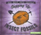 Digging Up Insect Fossils (Dig Deep Into Fossils)