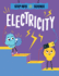 Electricity (Straightforward Science) Riley, Peter D.