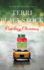 Catching Christmas