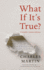 What If It's True? : a Storyteller's Journey With Jesus