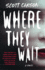 Where They Wait: a Novel