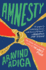 Amnesty: a Novel