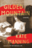 Gilded Mountain: a Novel