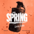Spring: a Novel
