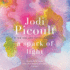 A Spark of Light: a Novel