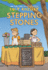 Stepping Stones: (a Graphic Novel) (Peapod Farm)