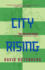 City Rising-Volume 3 Format: Other