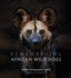 Remembering African Wild Dogs