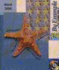 Word 2000 With Cdrom (By Example (Eni))