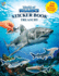 Phidal World of Sharks Sticker Book Treasury-Activity Books for Kids, 350 Reusable Stickers, 96 Pages of Fun