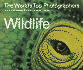 Wildlife (the World's Top Photographers)