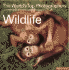 Wildlife: the World's Top Photographers and the Stories Behind Their Greatest Images