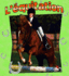 L'�quitation (Horseback Riding in Action)