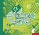 Book-Art: Innovation in Book Design