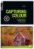 Capturing Colour: 3 (Basics Photography)