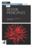 Basics Creative Photography 01: Design Principles