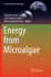 Energy From Microalgae