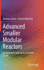 Advanced Smaller Modular Reactors