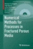 Numerical Methods for Processes in Fractured Porou
