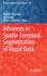 Advances in Spatio-Temporal Segmentation of Visual Data