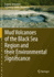 Mud Volcanoes of the Black Sea Region and Their En