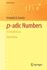 P-Adic Numbers, an Introduction