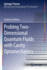 Probing Two-Dimensional Quantum Fluids With Cavity