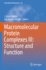 Macromolecular Protein Complexes III: Structure an