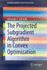 The Projected Subgradient Algorithm in Convex Opti