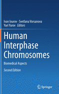Human Interphase Chromosomes
