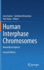 Human Interphase Chromosomes: Biomedical Aspects