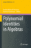 Polynomial Identities in Algebras: 44 (Springer Indam Series, 44) [Hardcover] [Mar 23, 2021] Di Vincenzo, Onofrio Mario and Giambruno, Antonio